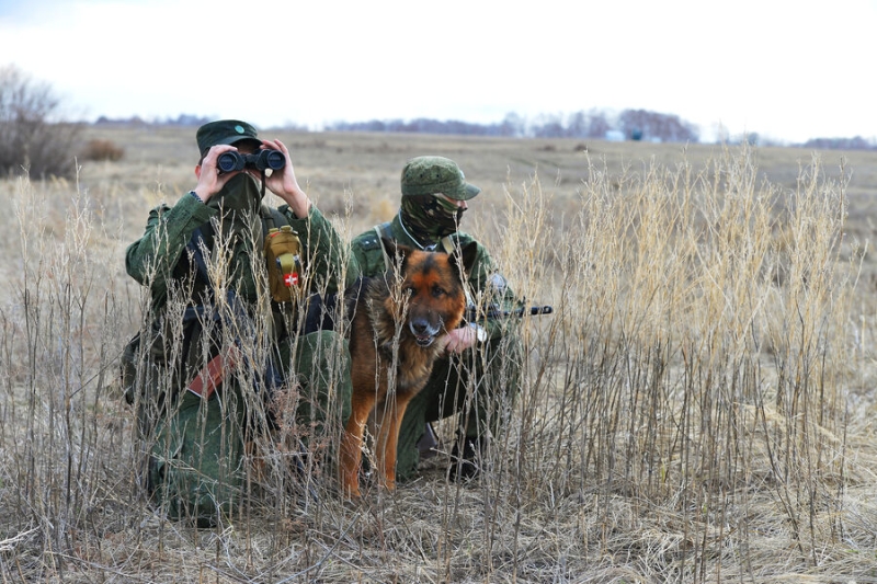 Пашинян: пограничники РФ покинут Тавушскую область после демаркации границ 