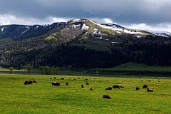 В американском парке произошло мощное извержение гейзера