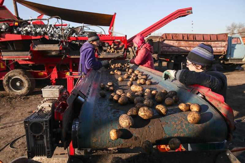 Продуктовая разница: какие меры принимает кабмин для стабилизации цен на товары