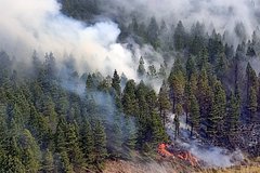 Раскрыта опасность природных пожаров для здоровья человека