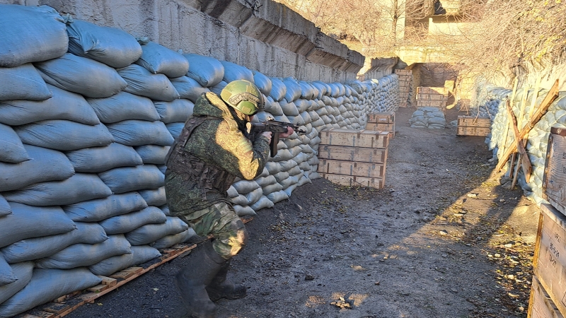 «Армией командую я и сержант!»