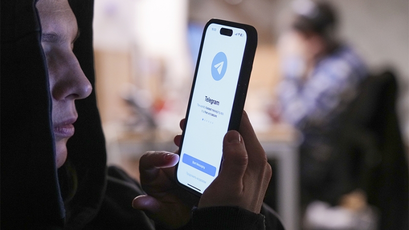 Россиян предупредили о схеме мошенников в Telegram через фейковые голосования
