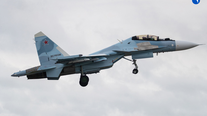 Россия поставит Белоруссии первые два истребителя Су-30СМ2 - Новости на Вести.ru