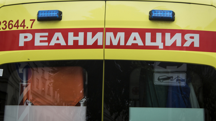 У заболевших в Приморье студентов колледжа обнаружили норавирус - Новости на Вести.ru