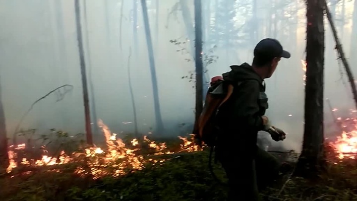 До 40 га увеличилась площадь пожара в биосферном заповеднике в Липецкой области - Новости на Вести.ru
