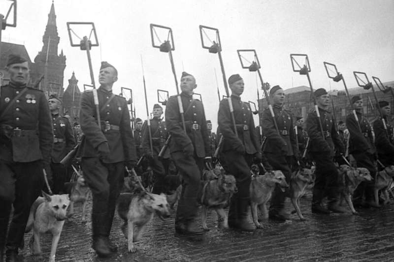 Триумф вечности: как был организован Парад Победы 1945 года