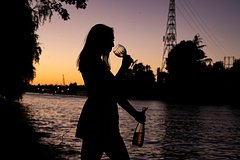 Объяснена повышенная уязвимость мозга женщин к алкоголю