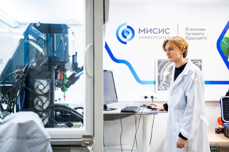 Дать на лапку: новый имплант вернет способность ходить больным кошкам и собакам