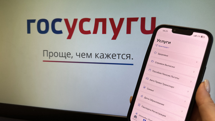 Аферисты под видом школьных психологов предлагают тест на фейковых "Госуслугах" - Новости на Вести.ru
