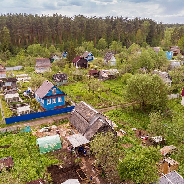 Срубил дерево — заплати штраф. Когда вырубка на участке может стать уголовным делом 