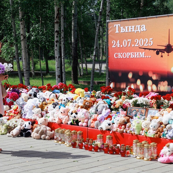 На месте крушения Ан-24 в Амурской области нашли черные ящики. Появились две версии трагедии 