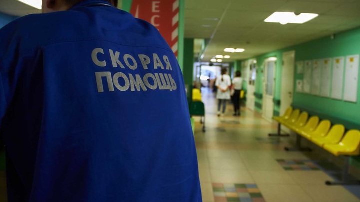 На Алтае совершил жесткую посадку вертолет, пострадали два человека - Новости на Вести.ru