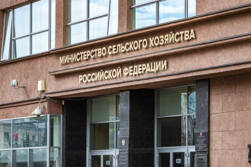 Топливный расклад: биржевые цены на бензин подскочили более чем на 10%